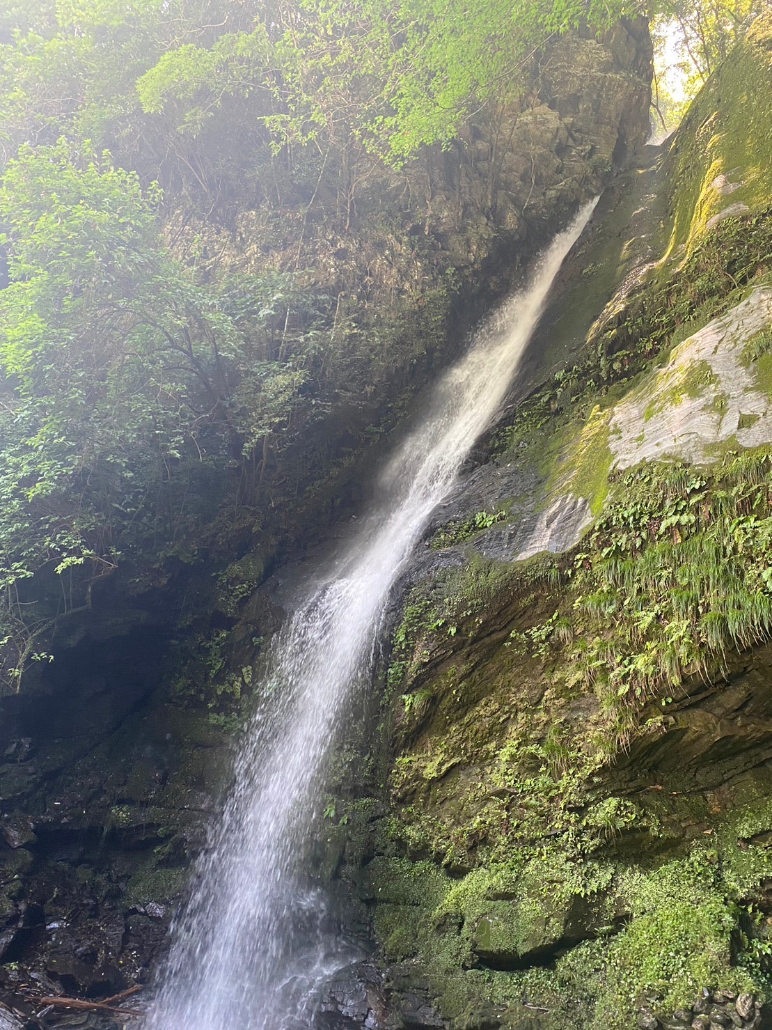写真：琵琶の滝